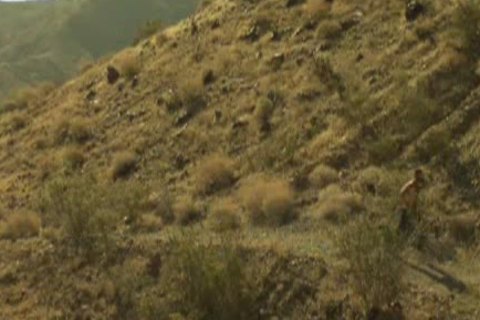 Some Real-guys action !