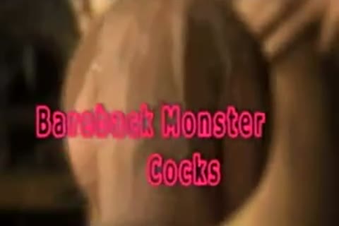 BB twinks & studs / TRASGU LI