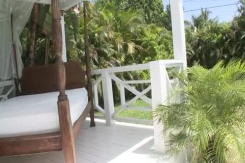 CASTRO pushs his big cock In A gorgeous Taint