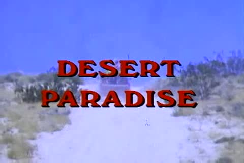 BB Desert Paradise 86-Full movie