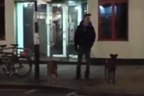 A Doggie At Christmas