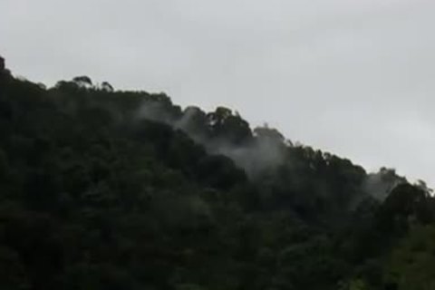 Adam, Wagner & Diego