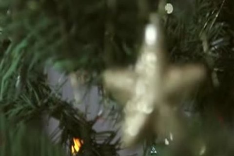 CHRISTMAS poke BUDDIES