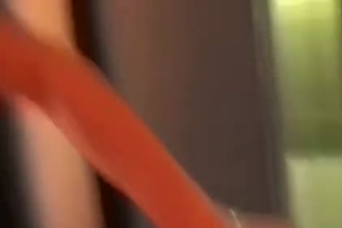 tasty bone On Tthowdys chab Sofa