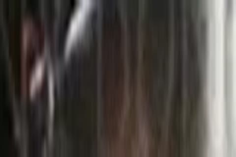 Ecbitchs 02 - Full movie