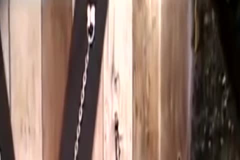 Interracial BB homosexual orgy