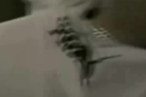 dilettante twinks Kiss And blow For The First Time