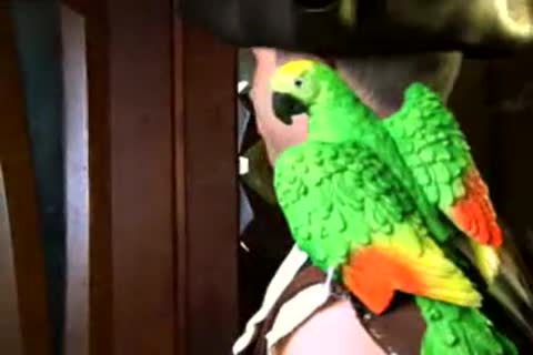 Tthellos man Dheartless crazye 'em Do It