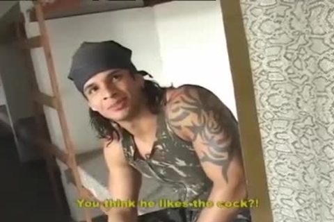 Gatos Brasileiros - nakedback Bootcamp