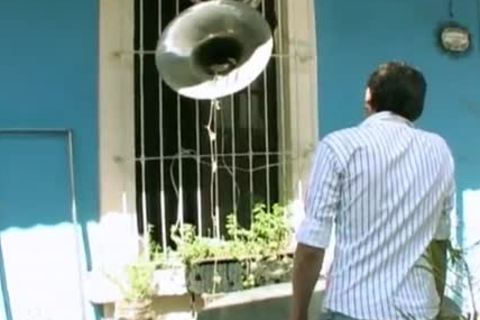 REAL dilettante bone