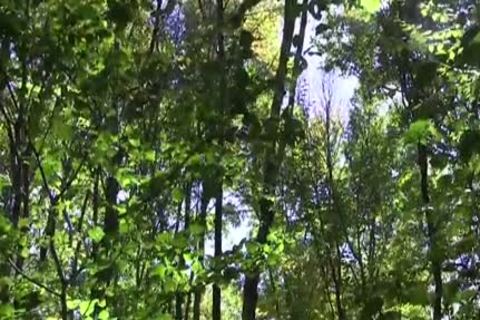 Draven Torres And Shane Frost