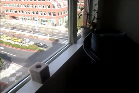 Tres Lecthellos studs Mexiweenie For Me.