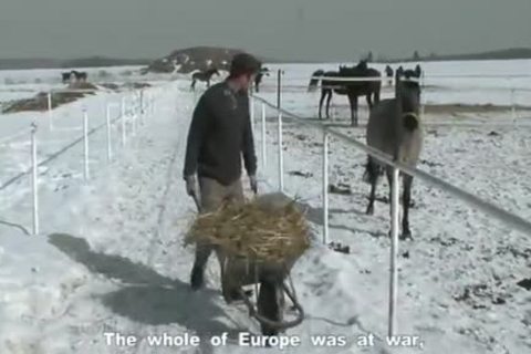 hawt European Hunks slam