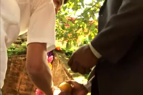 Arena go intotaindudest - Tropical Sensations (Ic