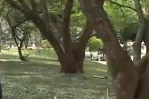 rough 3some Latin twinks