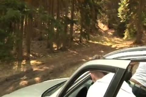 Sex In Tthowdys guy Forest