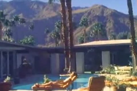 Steve York And Buster