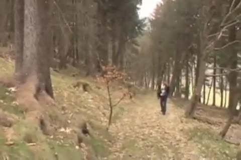 3 Way Nature plow All raw