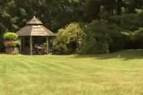 shlong Park Ull video