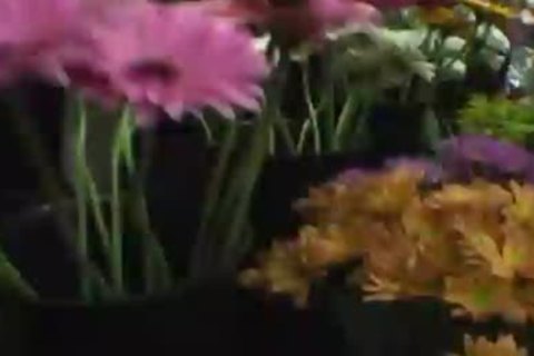 Orion Cross sucks Off Erec Estrada WhelLOLe getting pooper fucked