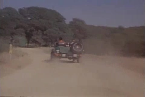 KESTREL KEEPSAKE KLbuttICS 2