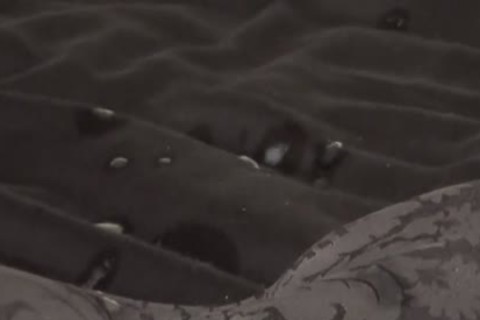 Allessandro Sportware Feet cum 06-10-2012