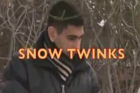 Snow Twinx