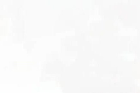 camMING couple COPULATE