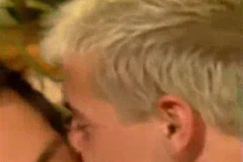 Breeding The Blond Bb