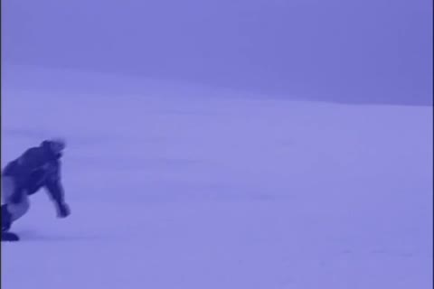 Sea-of-lustful-paradis