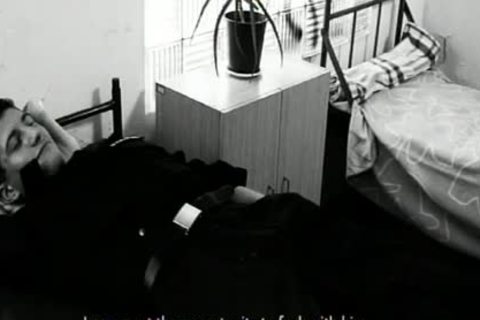 The-police-bull-take