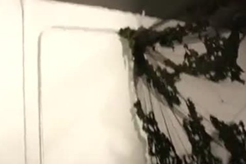 Skinny recent Recruits engulfing - Factory clip