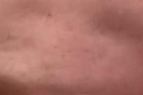 twink train - Factory episode