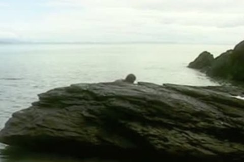 Tthowdys guy Sea God Poseidon Takes A lover