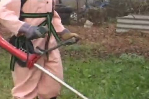 Getting facial in the garden