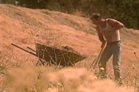 Farmhand's Pool fantasy