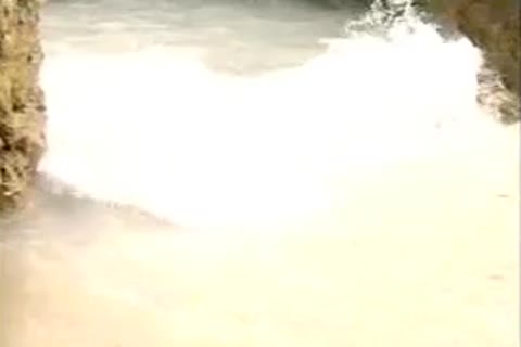 Secluded Beach Cove lovers