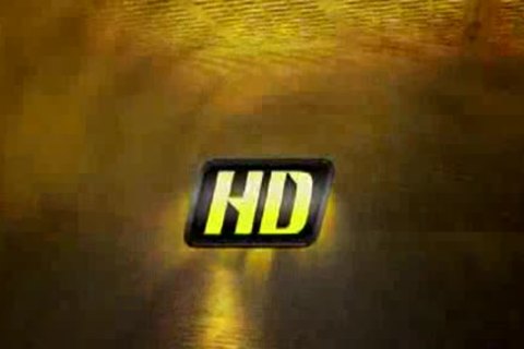 Hanging Out With The gang