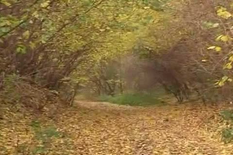 almost all spermd friends