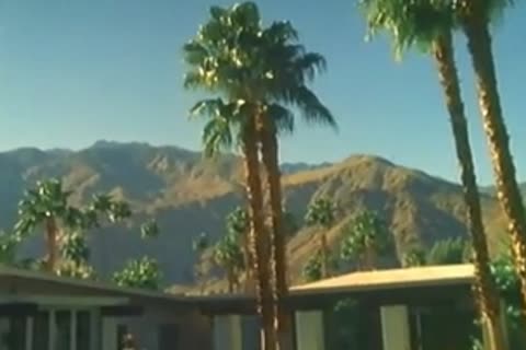 Vintage - Daydreaming.