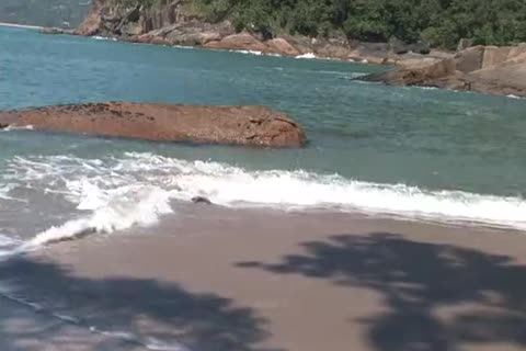 BRAZILIAN BEACH grouppound