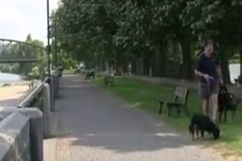 Rancorporalist Stuff On My Server