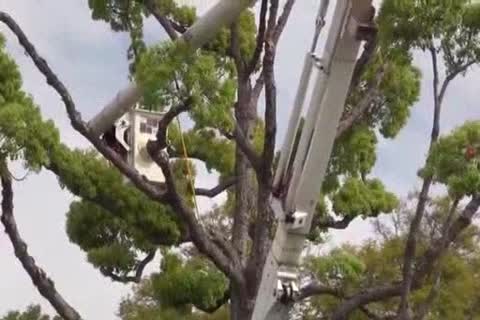 dicks Having An fuckfest acquires A Meager crazy