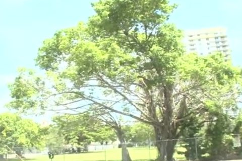 Worker Lured In For A horny fellow pussy