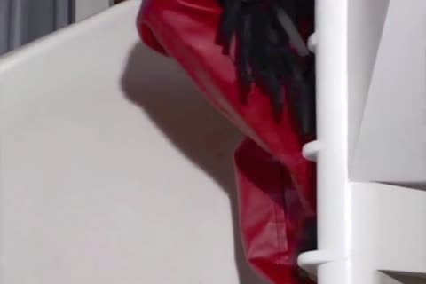 BBC stripper Tells All