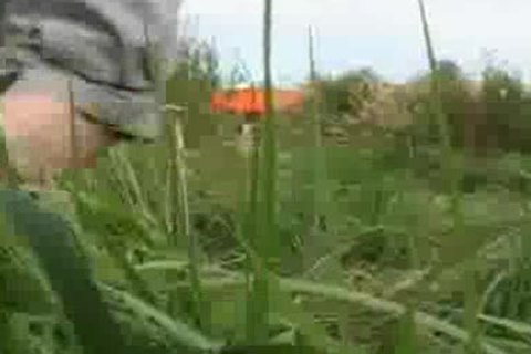 Dating Alex  Part2 Of 2