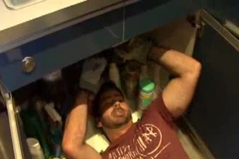 Bear In Tthis guy Kitcthis guyn