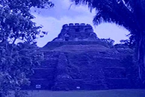 slavemaster ass plowing lusty fellow