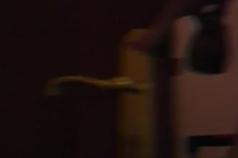 4 lads In tastyel Room