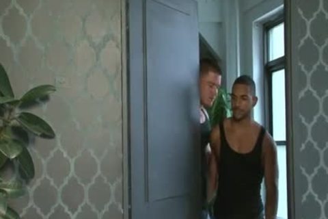 Tthellos chab attractiveter Tthellos chab better - Sebastian young &